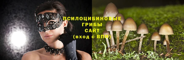 круглые Абаза
