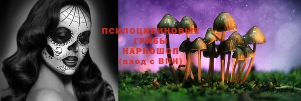гидропоника Аркадак