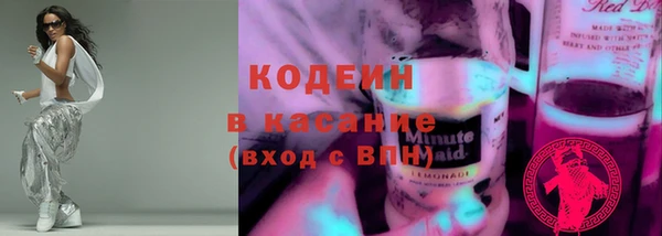 ешки Арсеньев