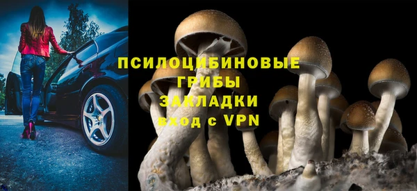 гидропоника Армянск